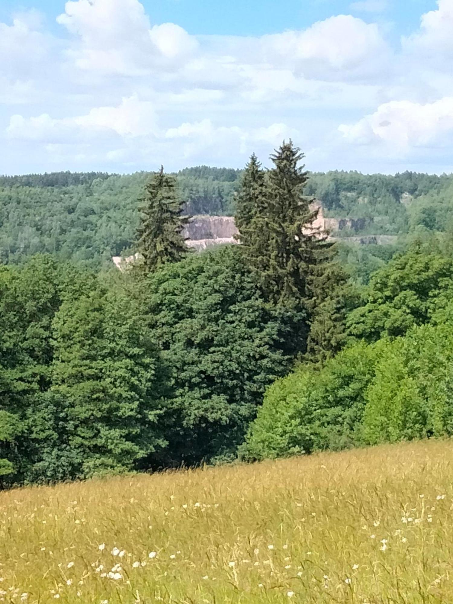 Luční apartmán Tymiána Černý Dŭl Exterior foto